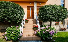 BeeApartments Żywiecka 49